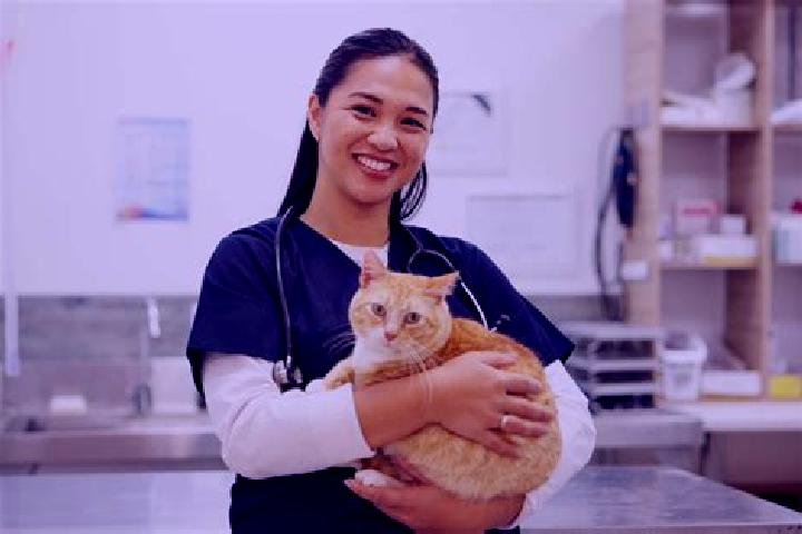 Addison, 22 — Escort in Hewan, China