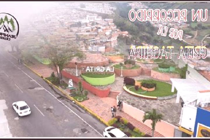 Addison, 22 — Escort in La Grita, Venezuela