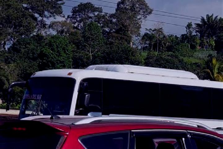 Addison, 22 — Escort in La Guama, Honduras