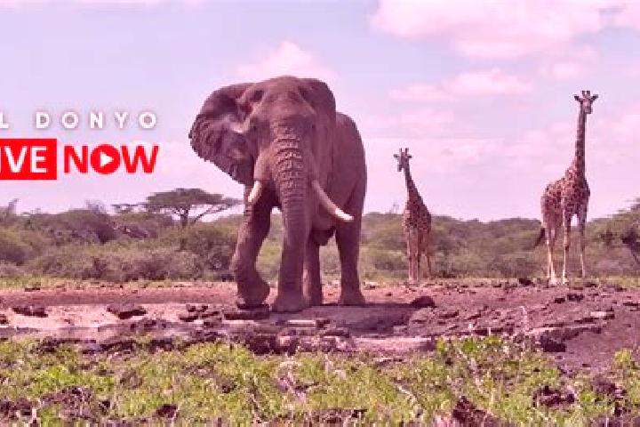 Addison, 22 — Escort in Ol Donyo, Kenya