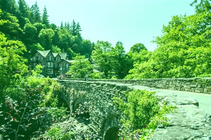 Addison, 23 — Escort in Betws-y-Coed, United Kingdom