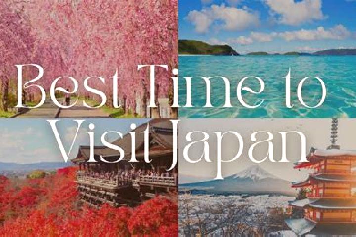 Addison, 23 — Escort in Ishige, Japan
