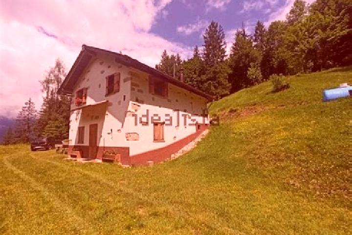 Addison, 23 — Escort in Laggio di Cadore, Italy