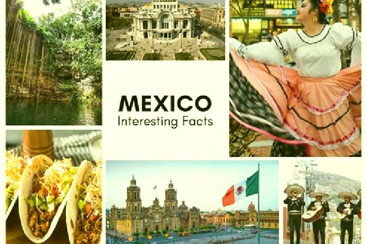Addison, 23 — Escort in Michac, Mexico