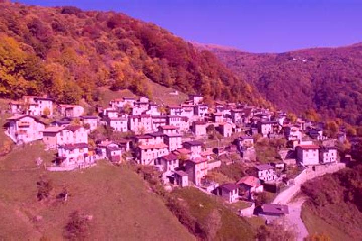 Addison, 23 — Escort in San Bartolomeo Val Cavargna, Italy