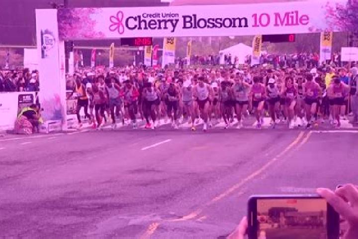 Addison, 23 — Escort in Ten Mile Run, United States