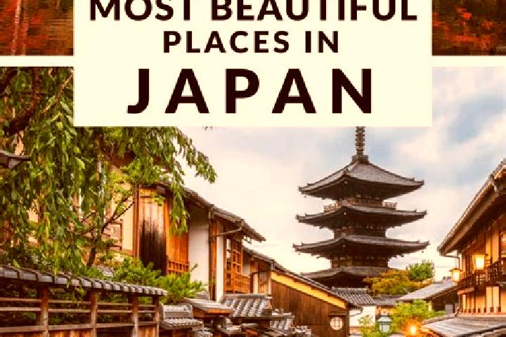 Addison, 23 — Escort in Ushibukamachi, Japan