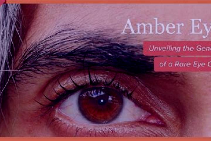 Addison, 24, a black amber-eyed ebony companion based in Bileca. Offering Party Girl, Travel Companion, Fetish. Available for incall and outcall, day and eve...