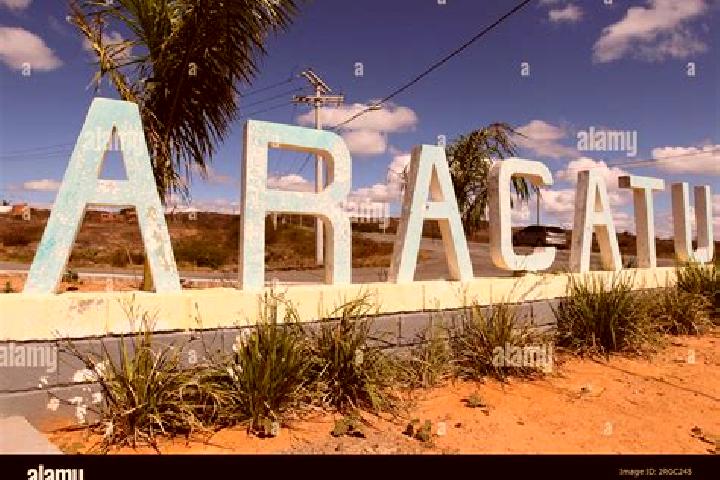 Addison, 24 — Escort in Aracatu, Brazil