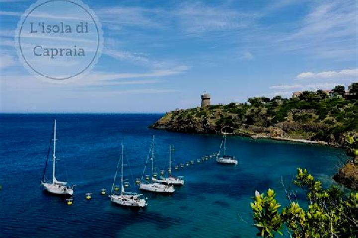 Addison, 24 — Escort in Capraia Isola, Italy