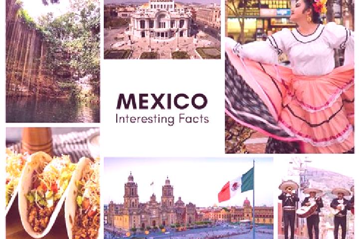 Addison, 24 — Escort in Chalpicote, Mexico