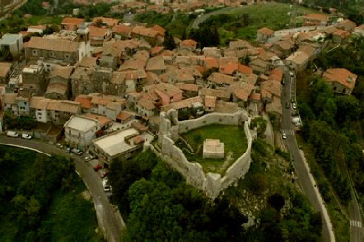 Addison, 24 — Escort in Collofedo di Monte Albano, Italy