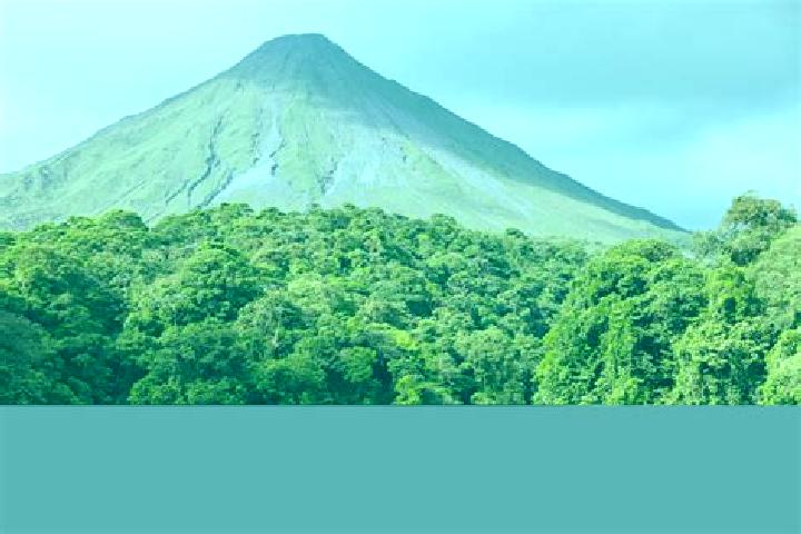 Addison, 24 — Escort in Corcovado, Puerto Rico