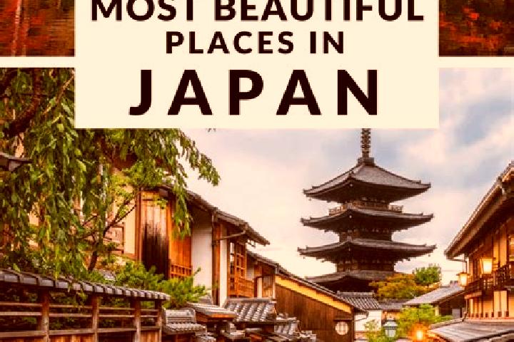 Addison, 24 — Escort in Kamiitoda, Japan