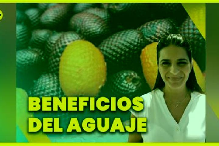 Addison, 24 — Escort in Los Aguajes, Mexico