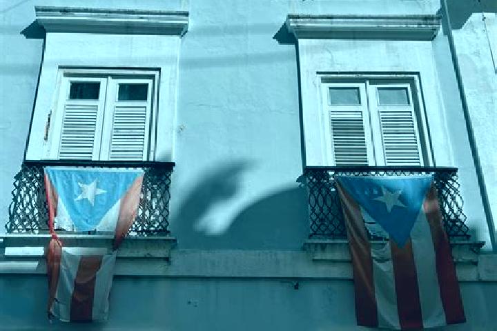 Addison, 24 — Escort in Puerto Real, Puerto Rico