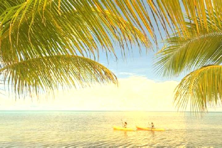 Addison, 24 — Escort in Western Paradise, Belize