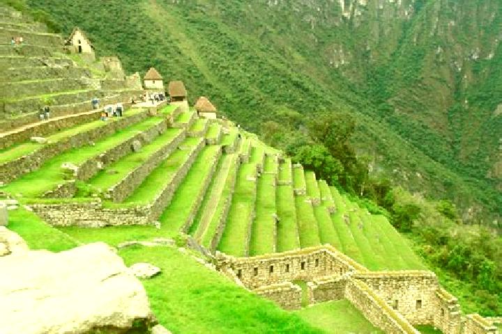Addison, 24 — Escort in Yaurisque, Peru