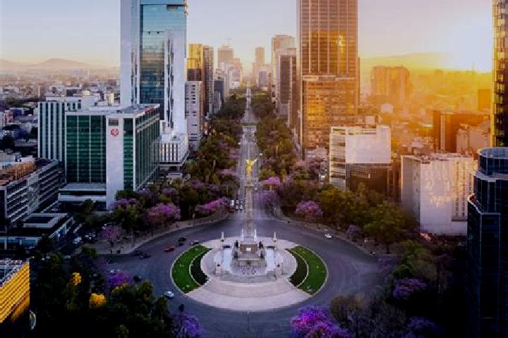 Addison, 25 — Escort in Francisco Guerrero, Mexico
