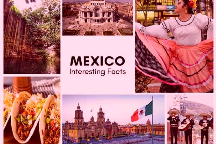 Addison, 25 — Escort in Mexiquito, Mexico