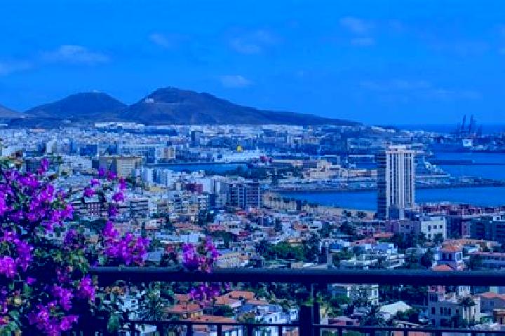Addison, 25 — Escort in Plan de las Palmas, Mexico