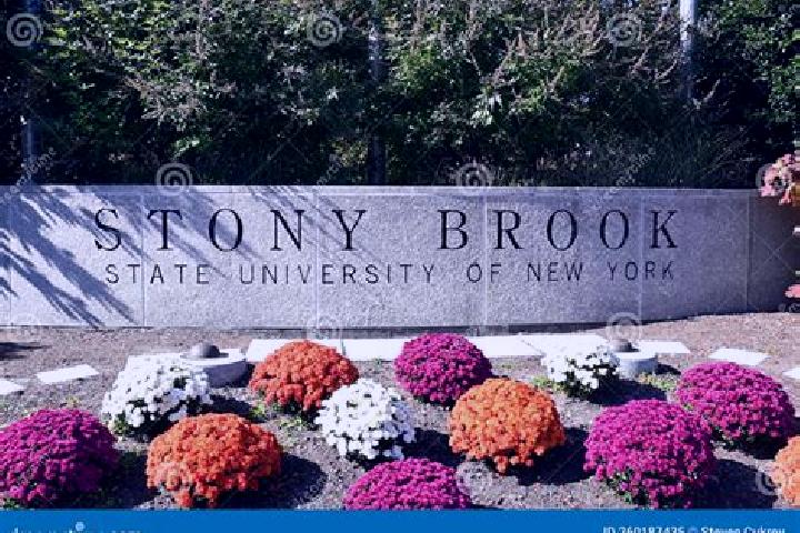 Addison, 25 — Escort in Stony Brook, United States