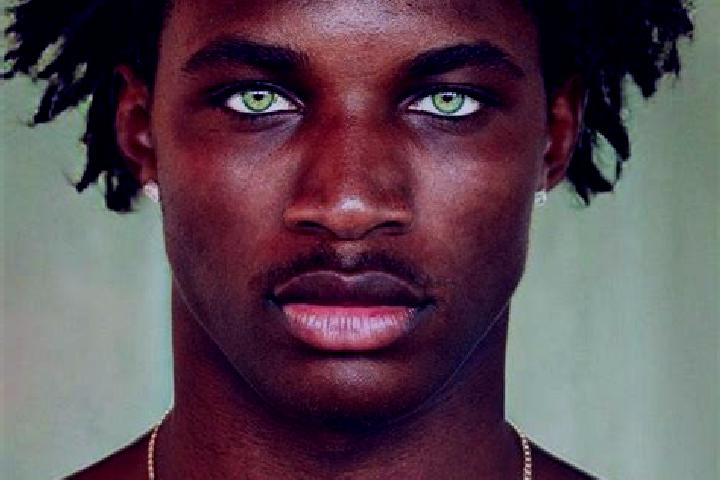 Addison, 26, a black green-eyed ebony companion based in Zogno. Offering Roleplay, Travel Companion, Dinner Date, Deep French Kissing. Available for incall a...