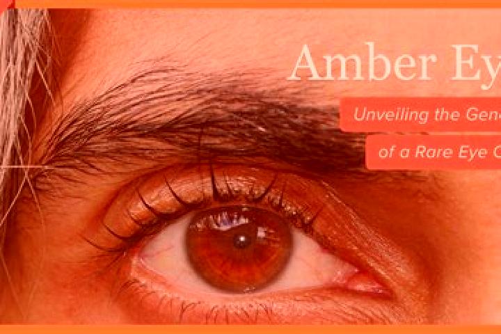 Addison, 26, a red amber-eyed european companion based in Shaba. Offering 69, BDSM, Domination. Available for incall and outcall, day and evening dates.