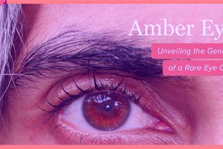 Addison, 26, a red amber-eyed indian companion based in Royalston. Offering BDSM, Massage, Party Girl, Travel Companion, Duos. Available for incall and outca...