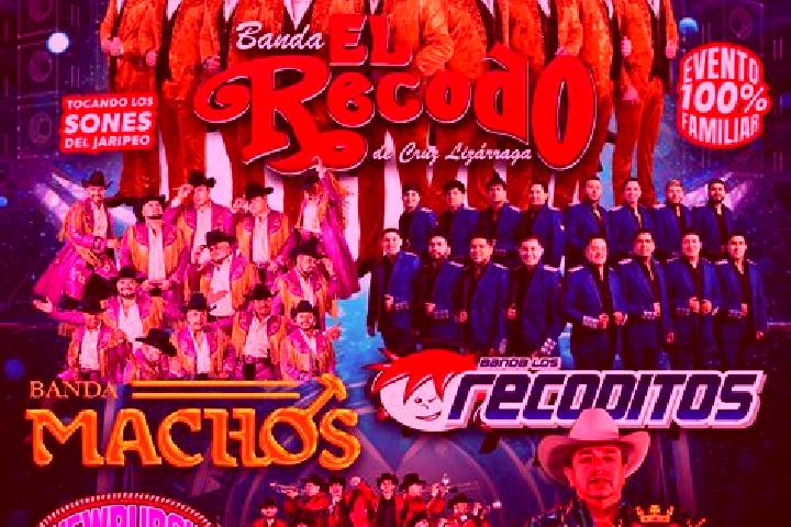 Addison, 26 — Escort in El Recodo de San Jose Axalco, Mexico
