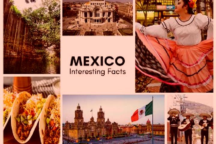 Addison, 26 — Escort in Emilio Carranza, Mexico