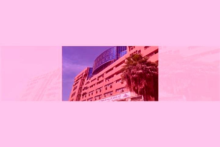 Addison, 26 — Escort in Fangbu, China