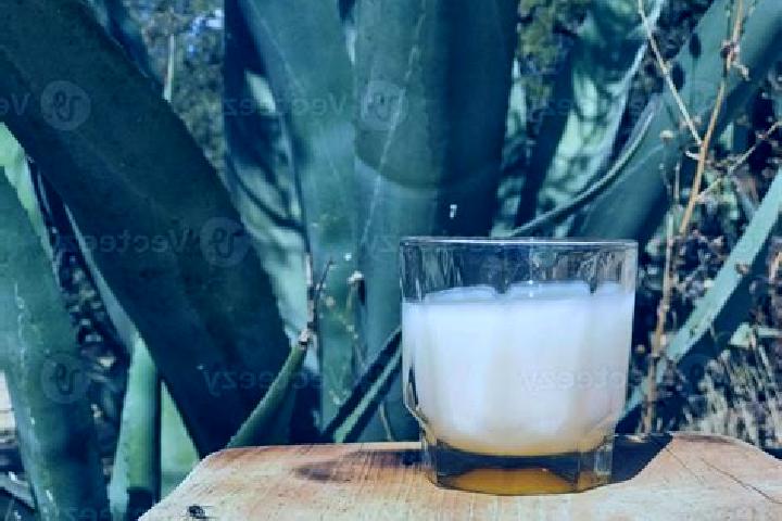 Addison, 26 — Escort in San Lucas del Pulque, Mexico