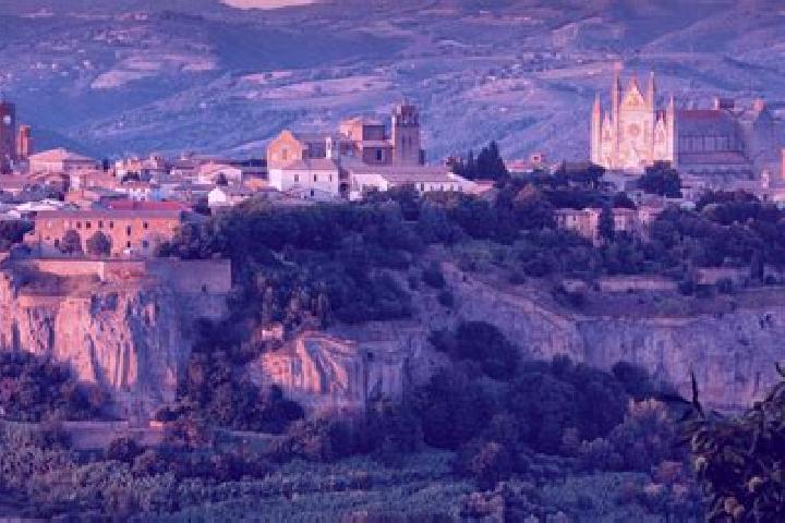 Addison, 27 — Escort in Arcore, Italy