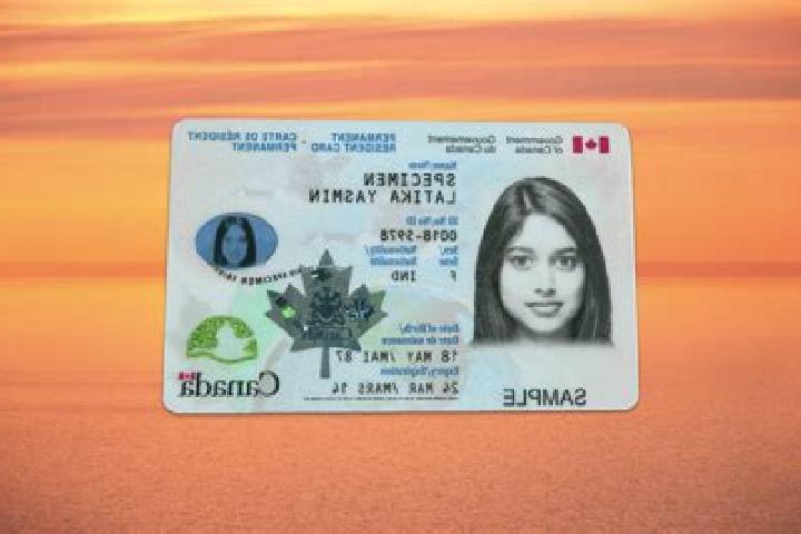 Addison, 27 — Escort in Ct 0008, Canada
