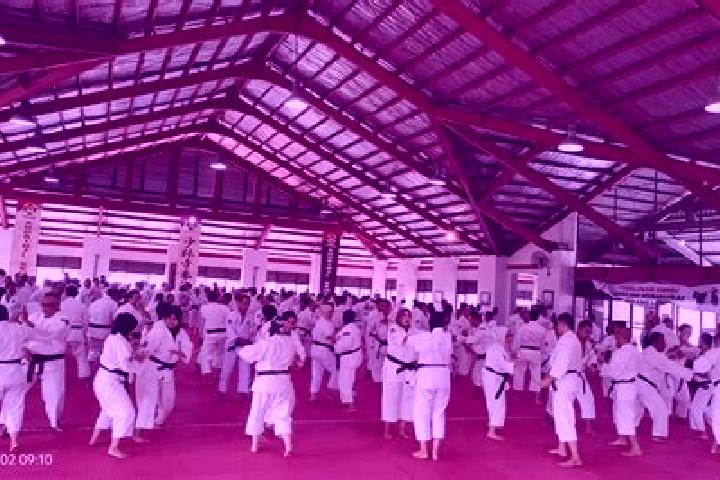 Addison, 27 — Escort in Kempo, Indonesia