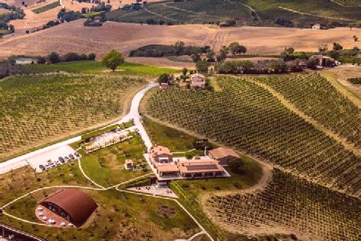 Addison, 27 — Escort in Poggio San Marcello, Italy