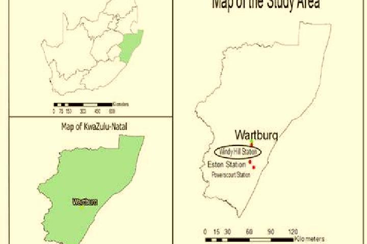 Addison, 27 — Escort in Wartburg, South Africa