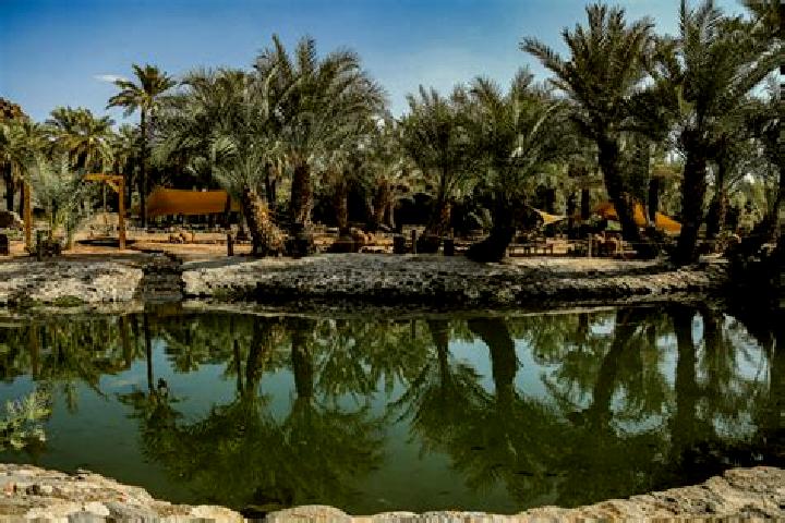 Addison, 28 — Escort in Al-Kharijah, Egypt