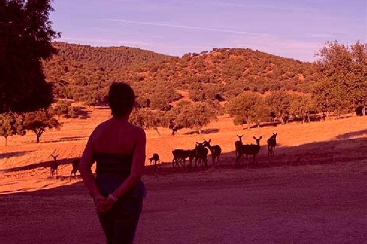 Addison, 28 — Escort in Aldeaquemada, Spain