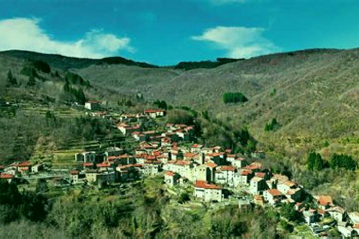 Addison, 28 — Escort in Ortignano Raggiolo, Italy