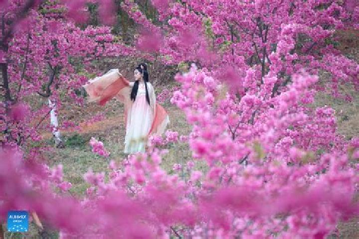 Addison, 28 — Escort in Quchi, China