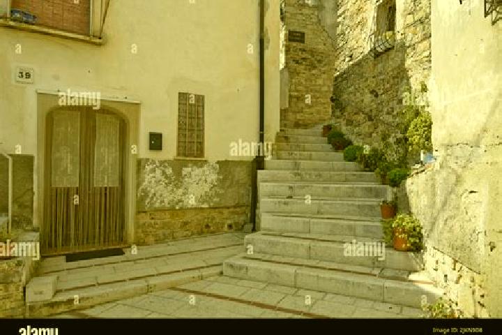 Addison, 28 — Escort in San Giovanni in Galdo, Italy