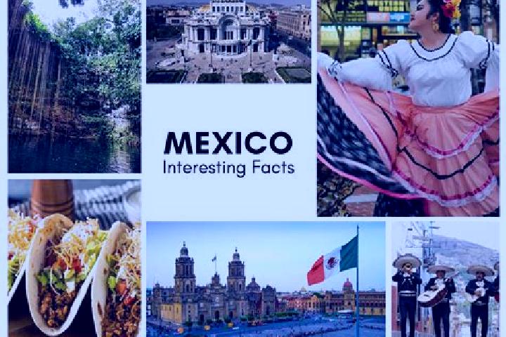 Addison, 28 — Escort in Texmalaca, Mexico