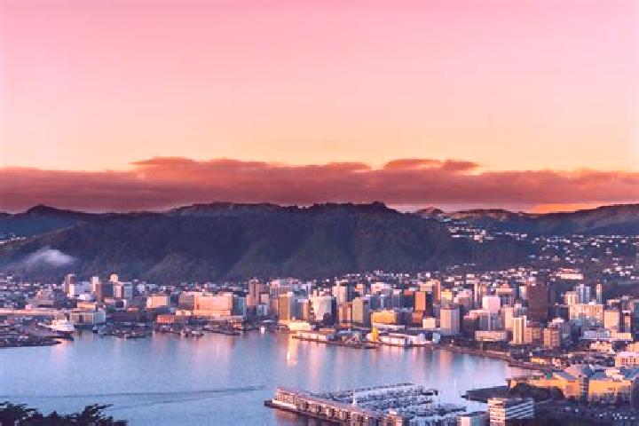 Addison, 28 — Escort in Wellington, New Zealand
