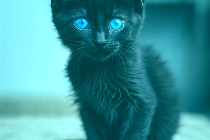 Addison, 29, a black blue-eyed mediterranean companion based in Villatobas. Offering BDSM, Fetish, Tantra, Overnight. Available for incall and outcall, overn...
