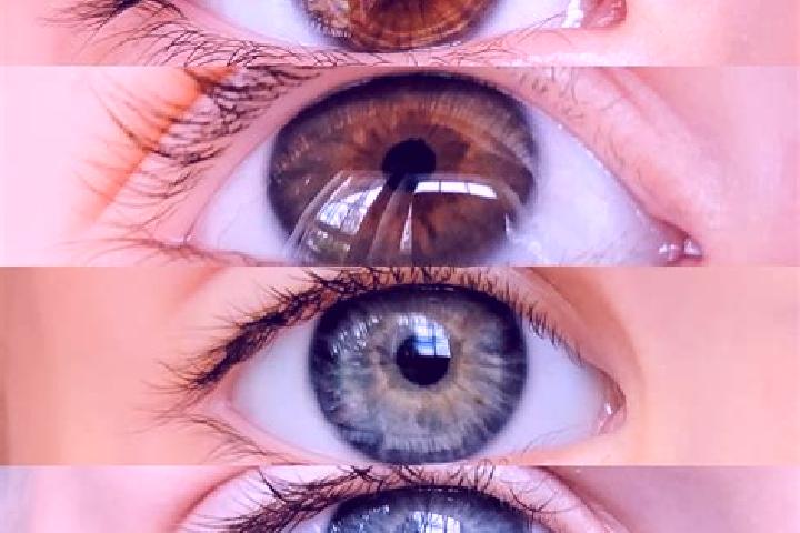 Addison, 29, a chestnut dark-eyed mixed companion based in Khaira Bari. Offering Striptease, 69, Couples, Party Girl. Available for incall and outcall, overn...