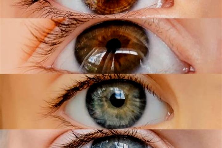 Addison, 29, a chestnut green-eyed mixed companion based in San Blas. Offering OWO, Prostate Massage, Striptease, Dinner Date, Overnight. Available for incal...