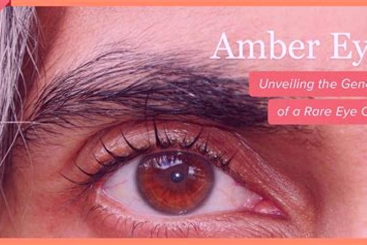 Addison, 29, a red amber-eyed middle eastern companion based in Harish. Offering Duos, Travel Companion. Available for incall and outcall, day and evening da...