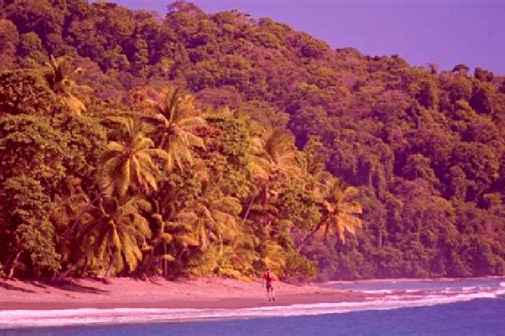 Addison, 29 — Escort in El Corcovado, Mexico